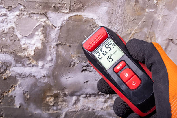 Best Mold Testing  in Marshfield, WI