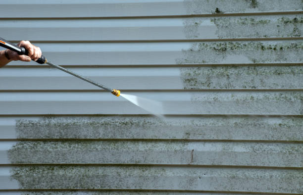 Professional Mold Removal in Marshfield, WI