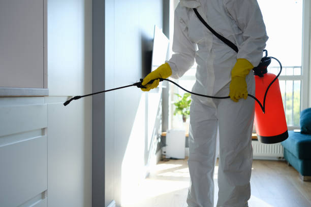 Best Best Mold Removal Companies  in Marshfield, WI