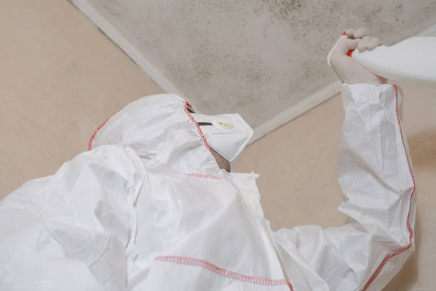 Best Mold Cleaning Services  in Marshfield, WI